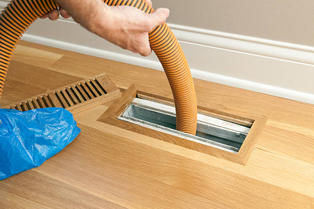 Best Affordable Duct Cleaning Services  in Alma, MI