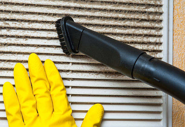 Best Dryer Vent Cleaning Services  in Alma, MI