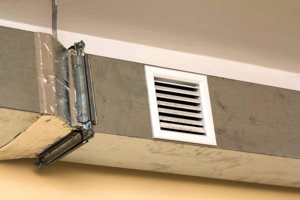 Best Air Duct Sanitizing Services  in Alma, MI